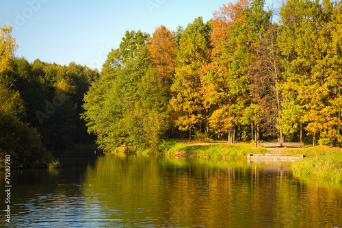 golden autumn on the lake.