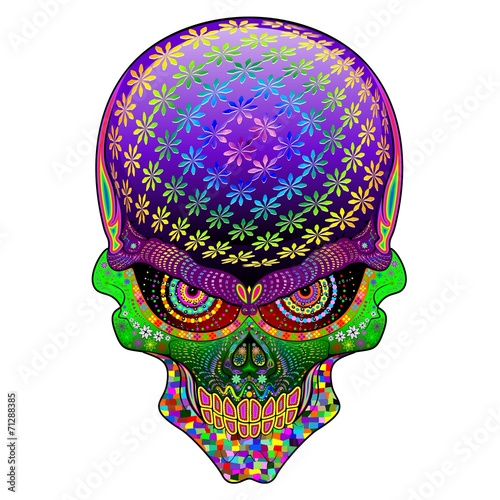 Crazy Skull Psychedelic
