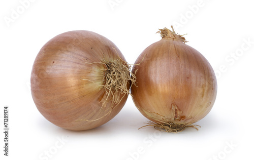 Wallpaper Mural Onions on white background Torontodigital.ca