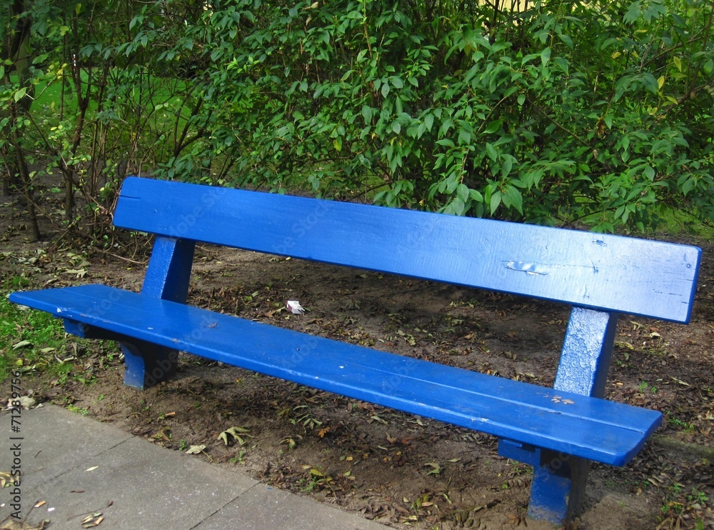 Naklejka premium blaue Parkbank