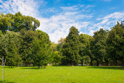 Fototapeta Naklejka Na Ścianę i Meble -  Green park
