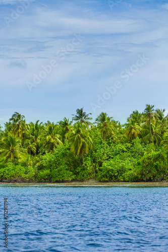 Rest in Paradise - Malediven - Grüne Palmeninsel im Meer