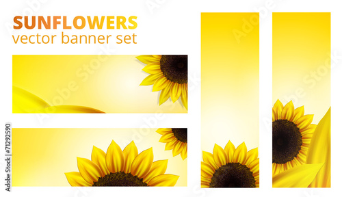 Vector sunflowers banner set