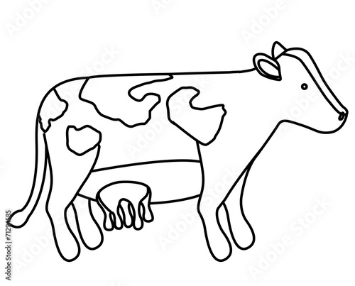 Animal design