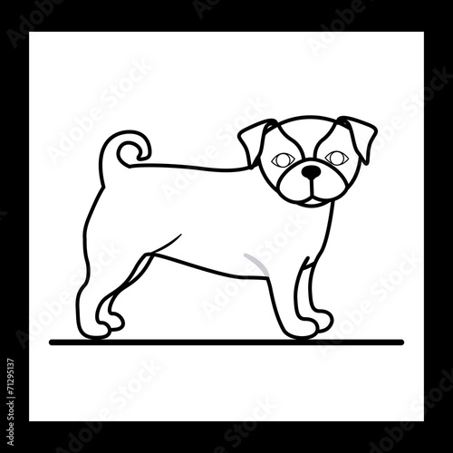 Animal design