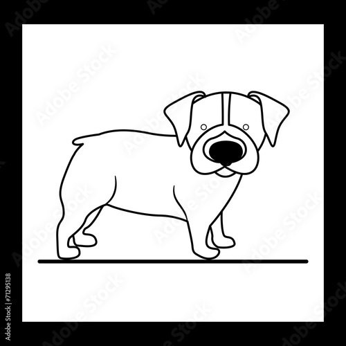 Animal design