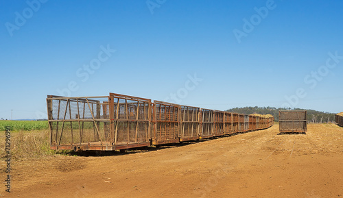 Australian Rural Scene Sugar Plantation with Cane Trains