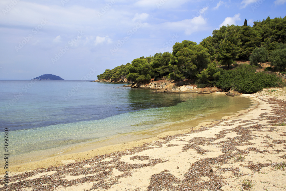 Wild sandy beach in the bay of the Aegean Sea.