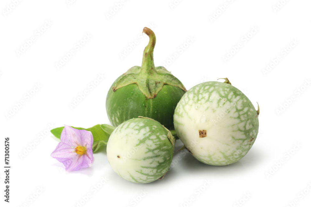 Green Eggplant on white background Green Eggplant on white background