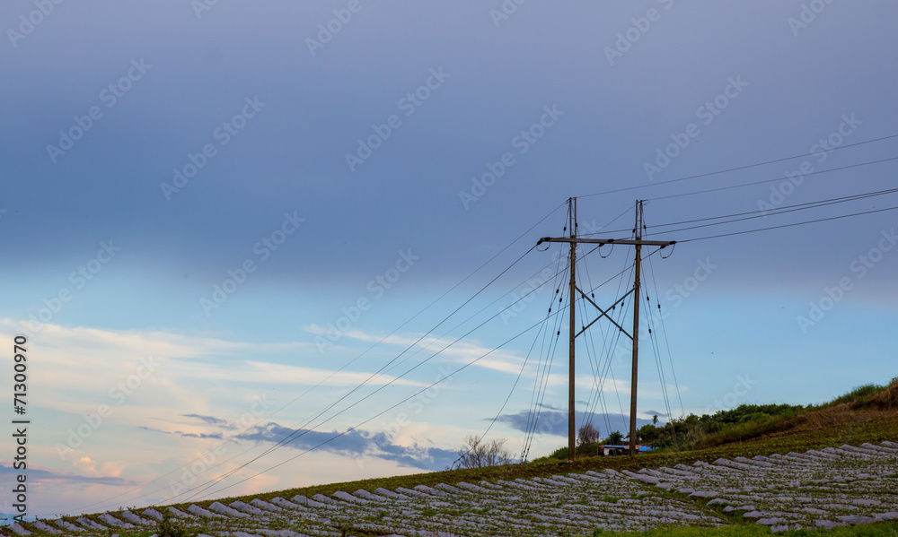 electric pole in natural environment
