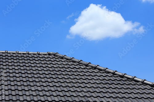 tile roof on a new house with blue sky