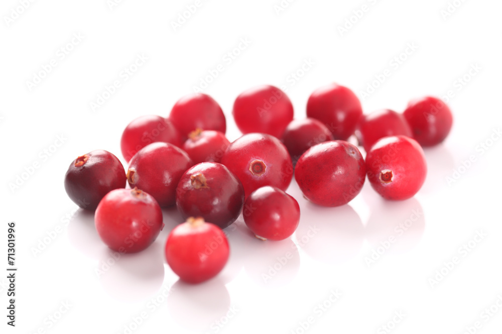 Cranberry Cranberry