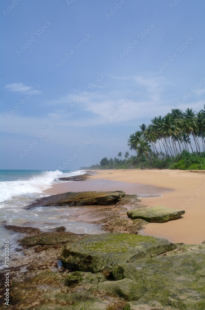 wild beach on Sri lanka coast