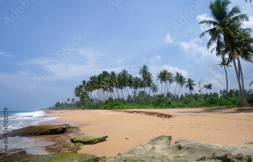 wild beach on Sri lanka coast