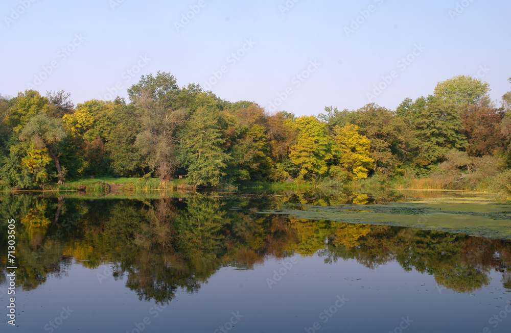 River landscape and  autumn wood