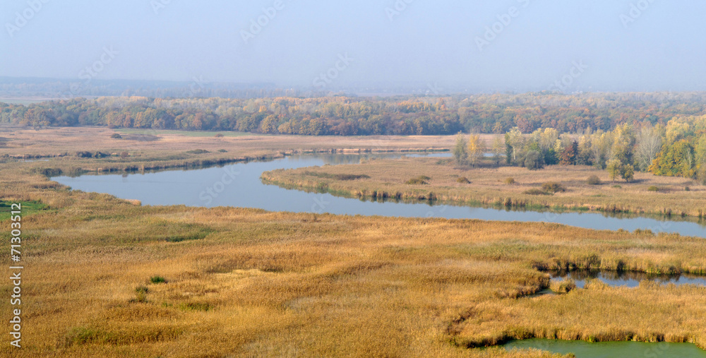 River landscape and an autumn wood