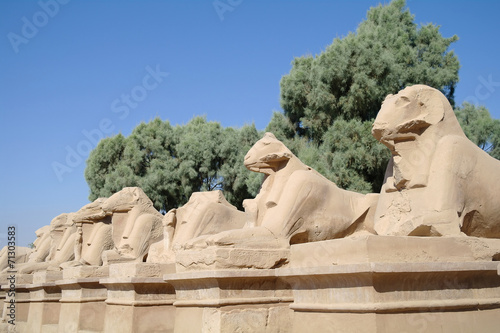 Ancient statues of Ram-headed sphinxes in Karnak temple, Luxor