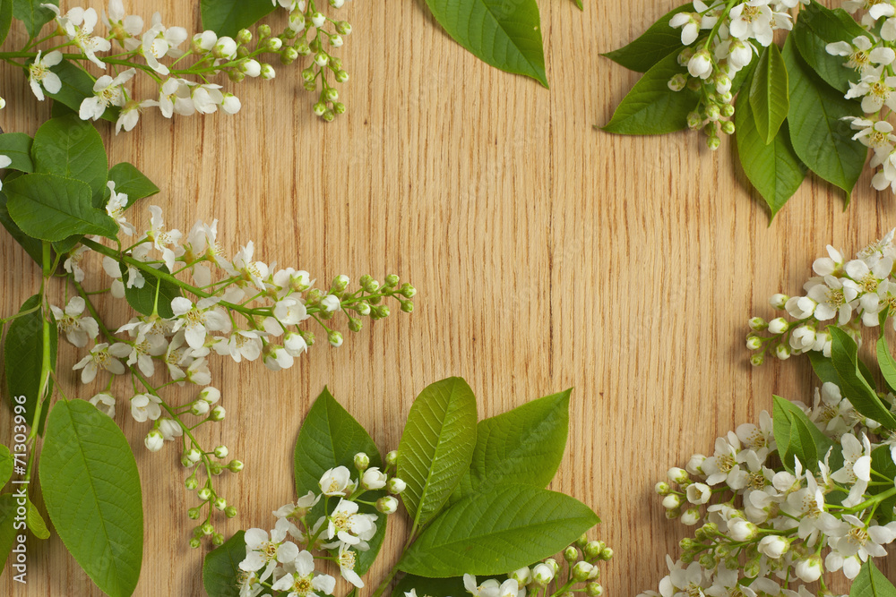 Frame with wood texture and bird cherry branch. Can be used as b Frame with wood texture and bird cherry branch. Can be used as b