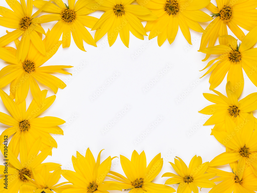 frame of flowers