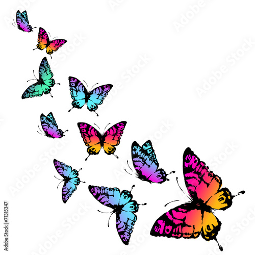 Wallpaper Mural butterflies design Torontodigital.ca
