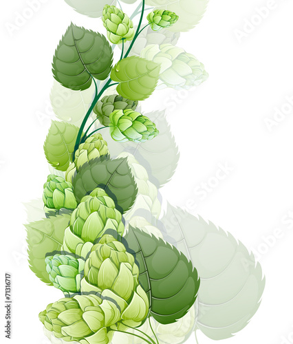 Branch of hops