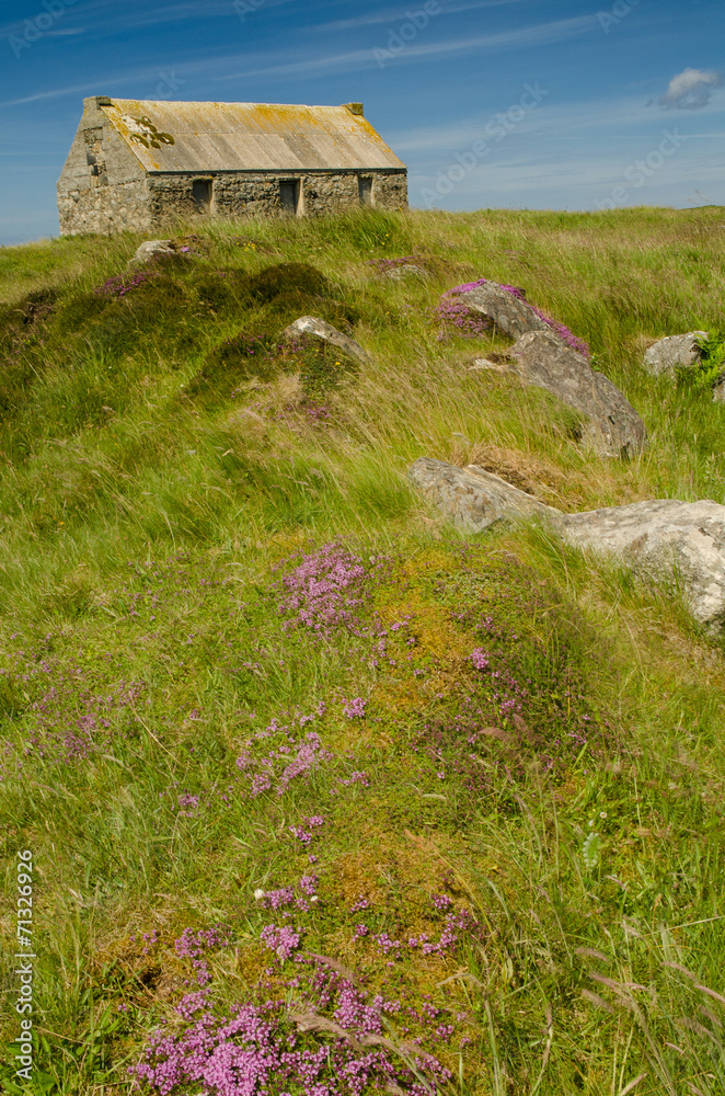Obraz premium Abandoned Cottage Uist