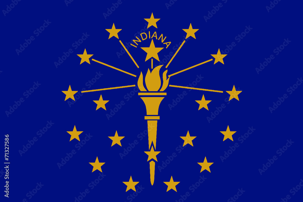 Naklejka premium Indians State Flag