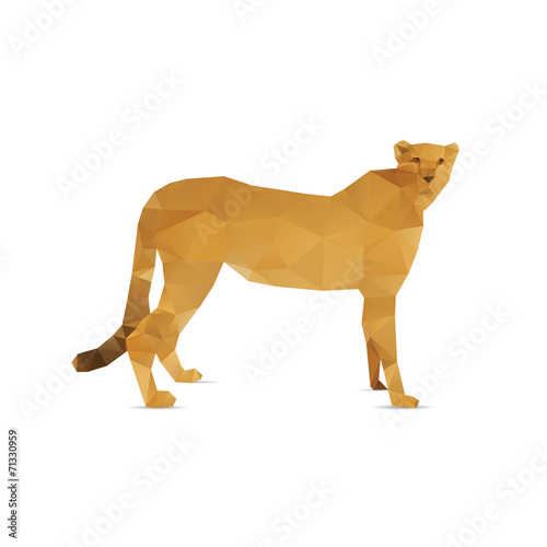 Fototapeta Naklejka Na Ścianę i Meble -  Abstract lion isolated on a white backgrounds