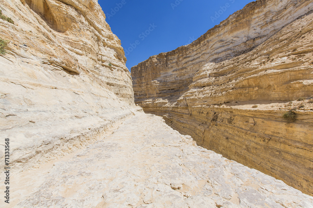 Fototapeta premium ravine in the Negev desert