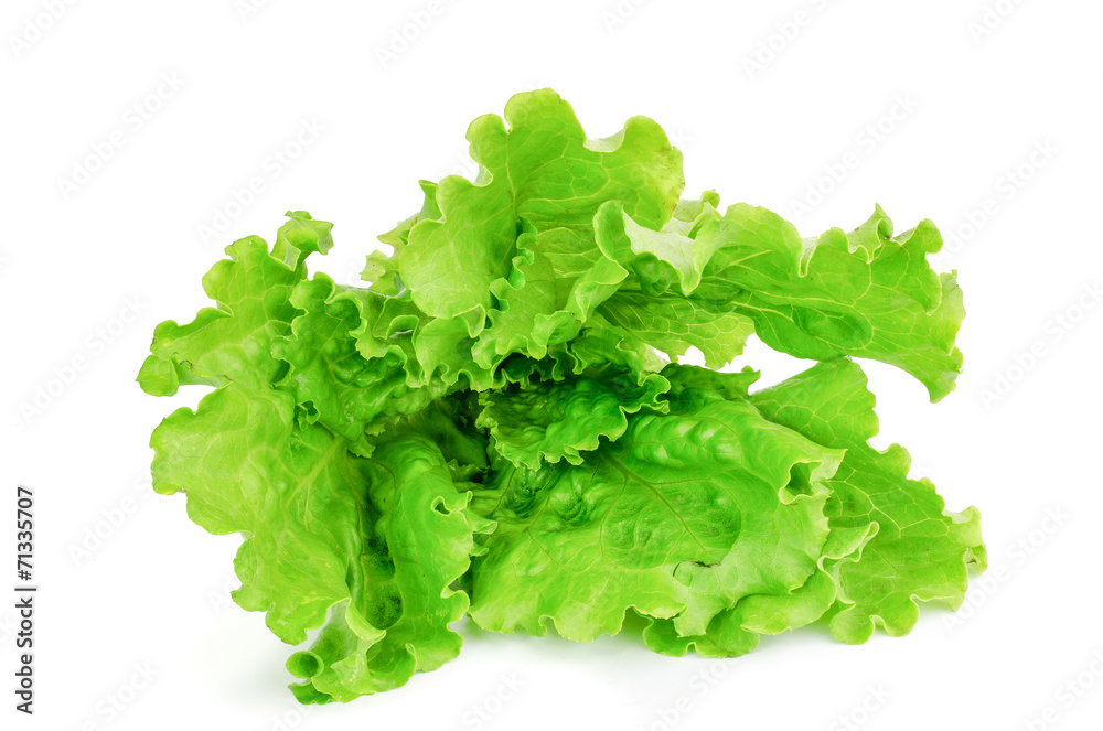 Fresh green lettuce isolated on a white Fresh green lettuce isolated on a white
