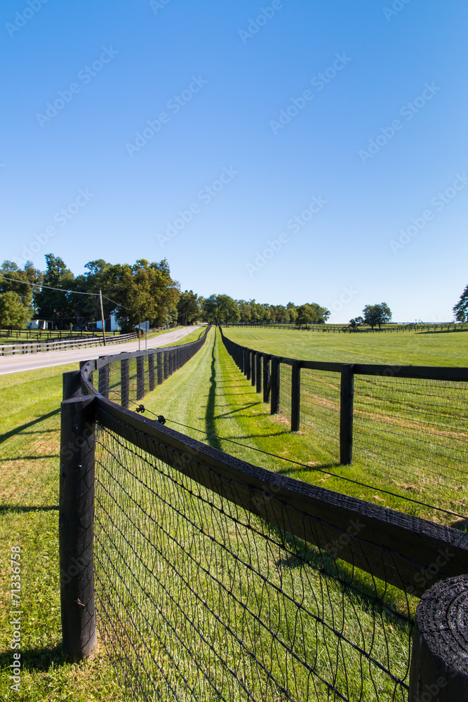 Double fence at horse farm.