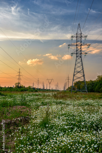 High voltage power line in flower meadow