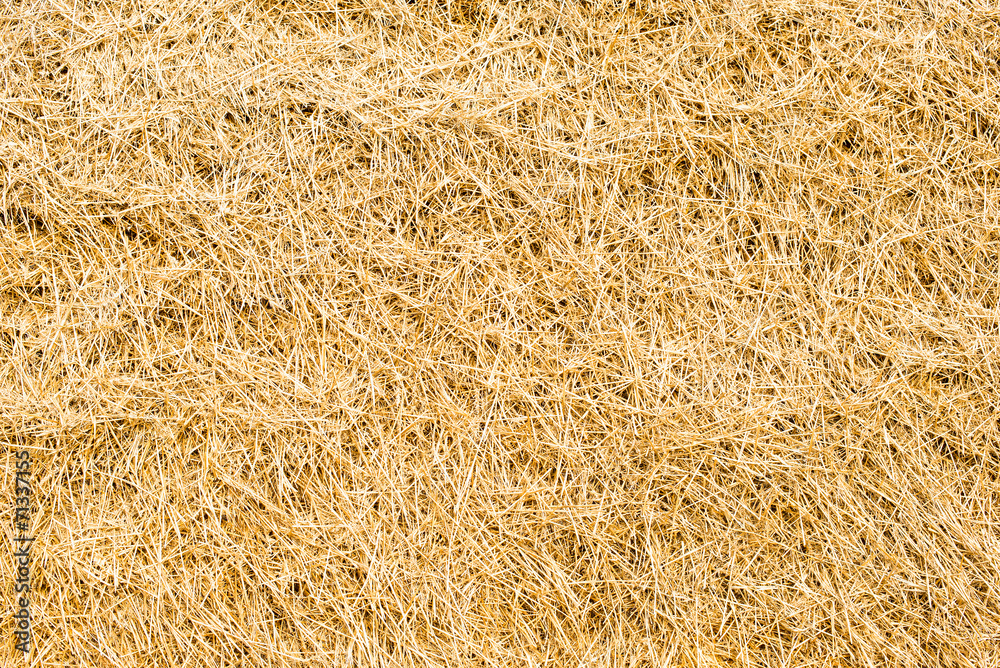 Close up of ground. Texture of straw.