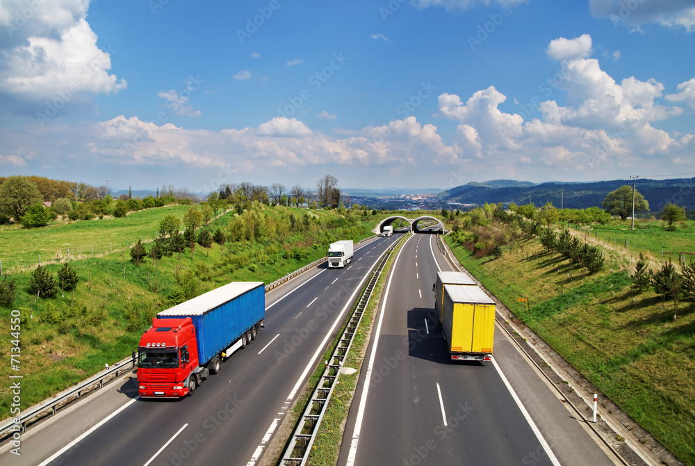 Corridor highway with the transition for animals, colored trucks