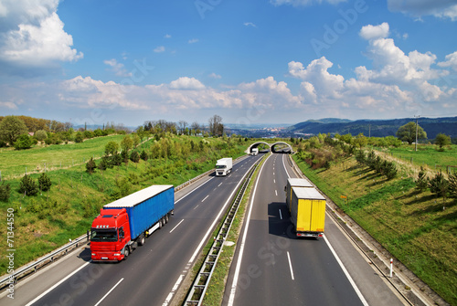 Obraz na płótnie Corridor highway with the transition for animals, colored trucks w salonie