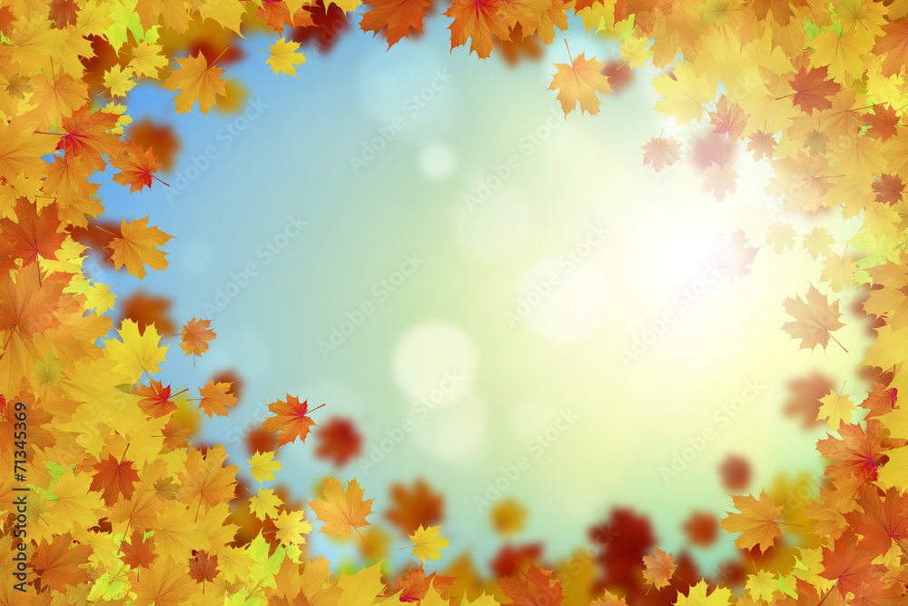 Autumn leaves Autumn leaves