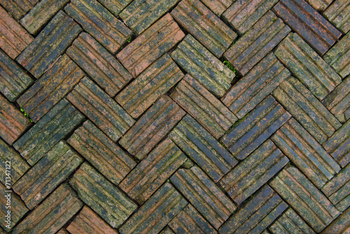 Brick floor with plants