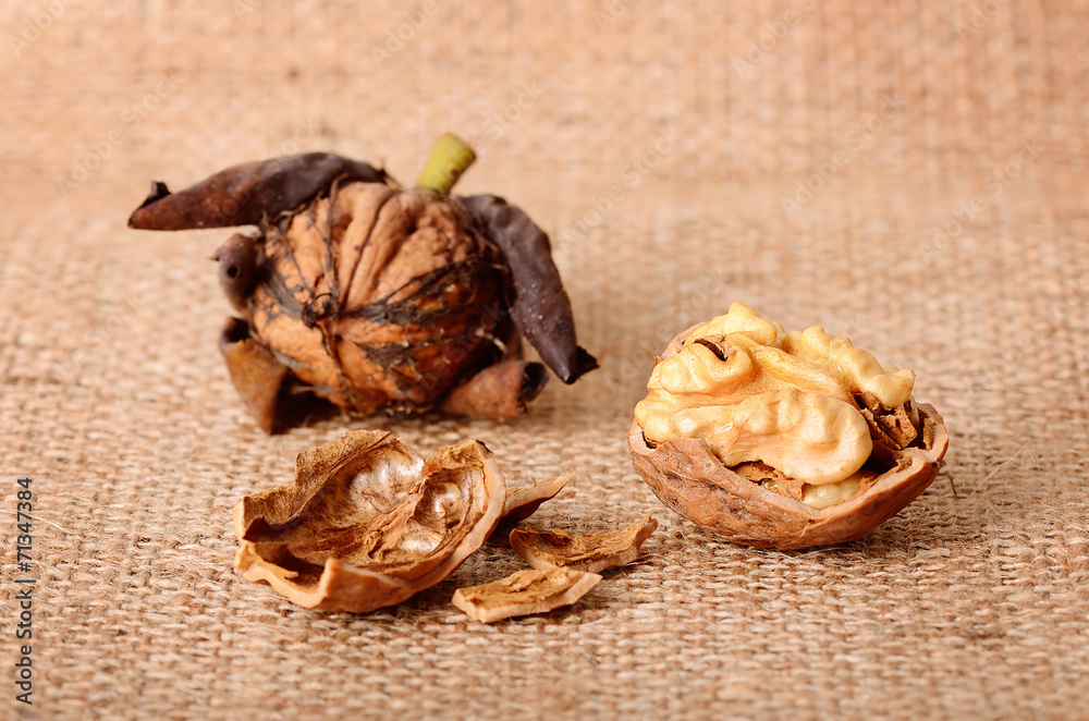 Dried walnuts on sackcloth background