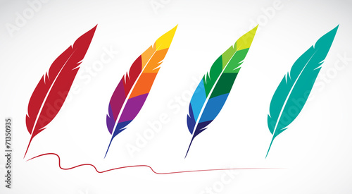 Vector group of feathers on white background