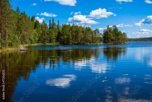 pine forest reflection in the lake