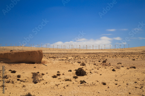 Fuerteventura WÜstenlandschaft
