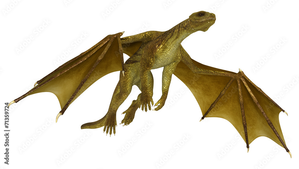 Fototapeta premium Golden Dragon