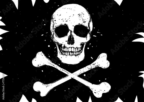 Flag with skull