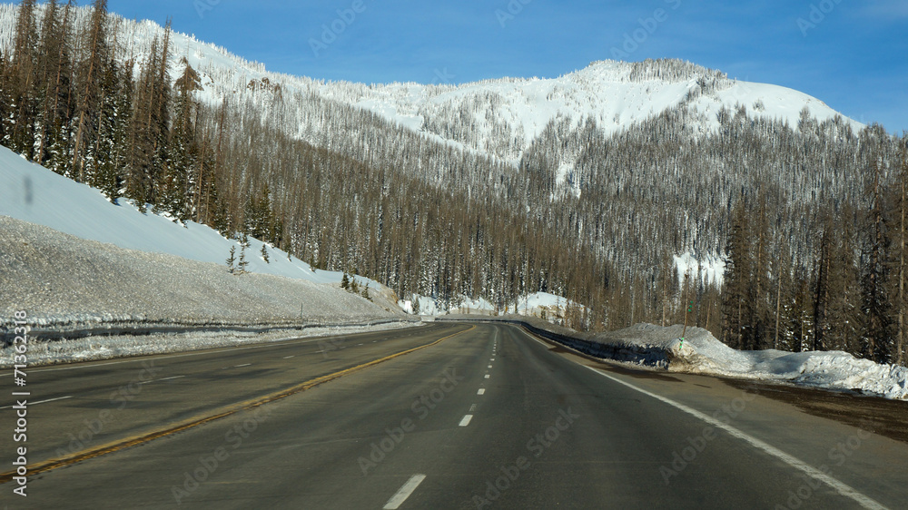 Road toward the pikes forest in the winter