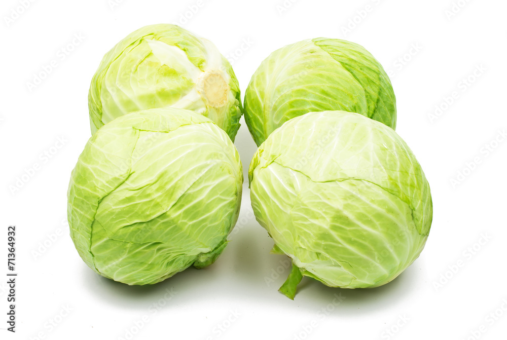 cabbages cabbages