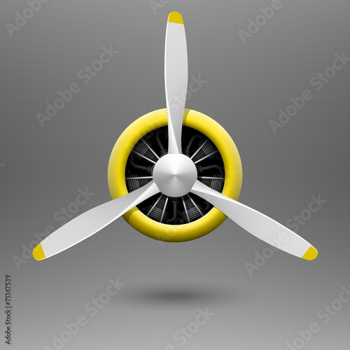 Vintage airplane propeller with radial engine