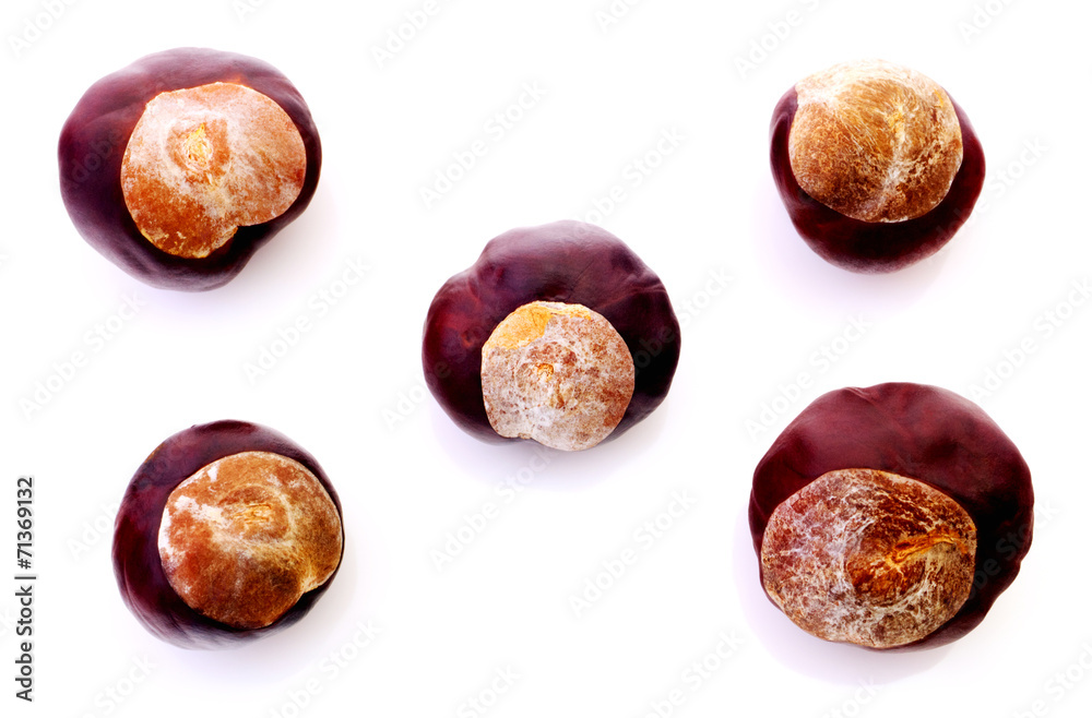 Chestnuts isolated on white Chestnuts isolated on white