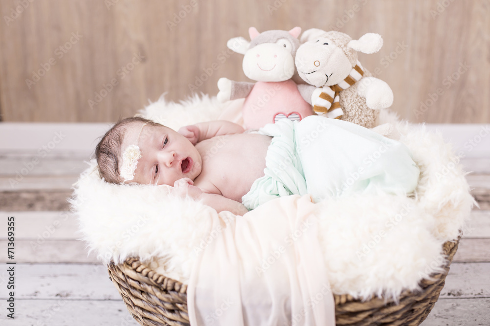 Newborn Kleine Prinzessin in einem Korb Newborn Kleine Prinzessin in einem Korb