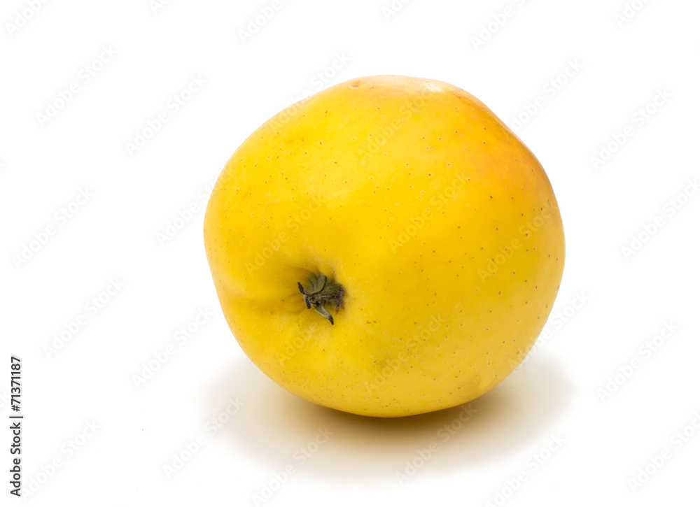 yellow apple on a white background