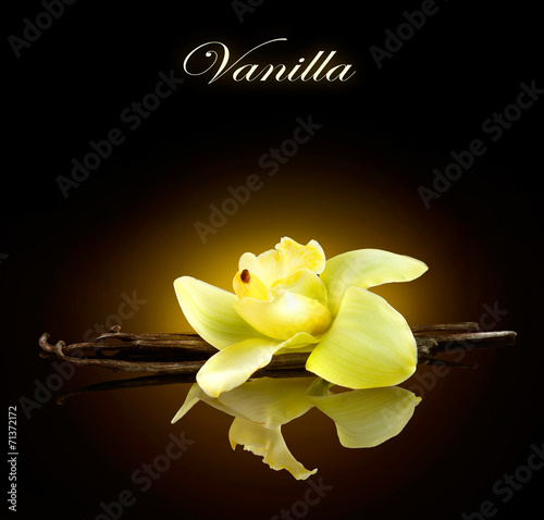 Fototapeta Naklejka Na Ścianę i Meble -  Vanilla. Pods and Flower of vanilla isolated on black background